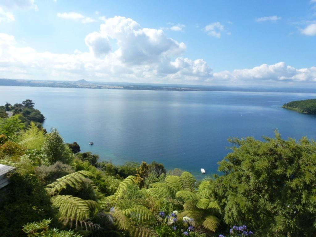 Serenity On Wakeman Taupo Bagian luar foto