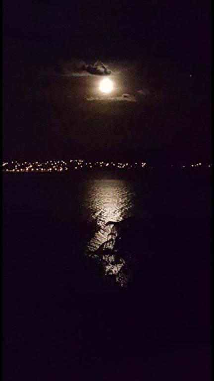 Serenity On Wakeman Taupo Bagian luar foto